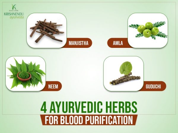 4 Ayurvedic herbs for blood purification – Ayurvedic treatment kerala ...